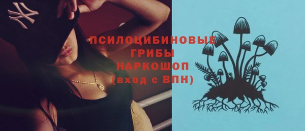дурь Заводоуковск