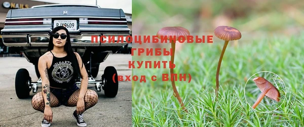 дурь Заводоуковск